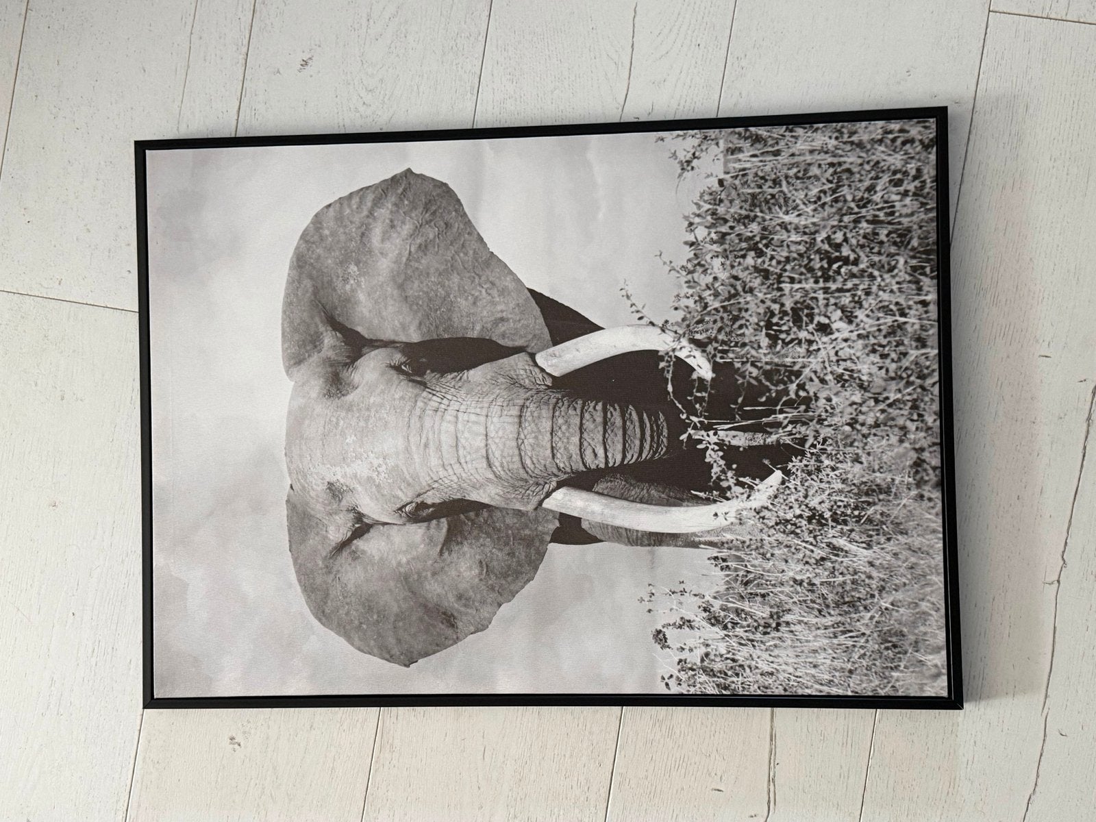 Olifant in kader, Huis en Inrichting, Ophalen, Zo goed als nieuw