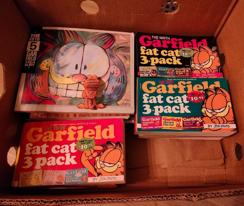 Stripboeken Garfield Engels, Plusieurs BD, Jim Davis, Comme neuf, Enlèvement