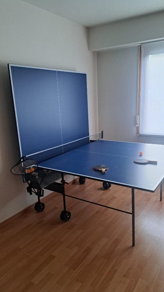 Ping-pong tafel, Sport en Fitness, Ophalen, Zo goed als nieuw