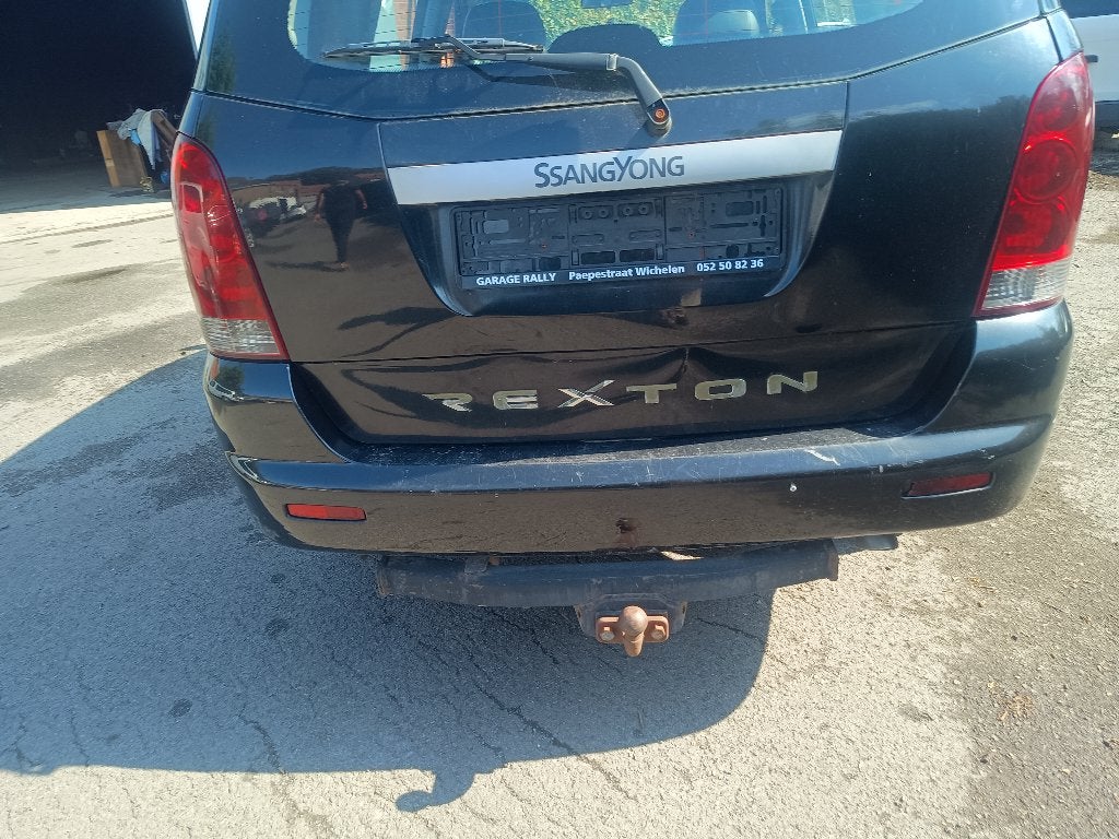 SSANGYONG, Auto's, SsangYong, Automaat, Diesel, Particulier, 4x4