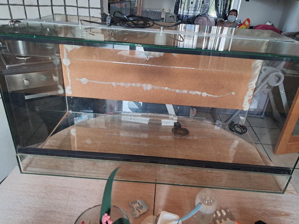 Terrarium, Animaux & Accessoires, Autres accessoires pour animaux, Enlèvement, Comme neuf