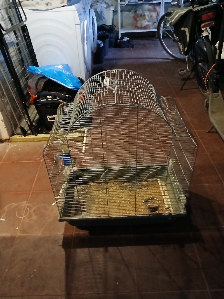 Vogelkooi, Dieren en Toebehoren, Ophalen, Gebruikt, Metaal, Vogelkooi