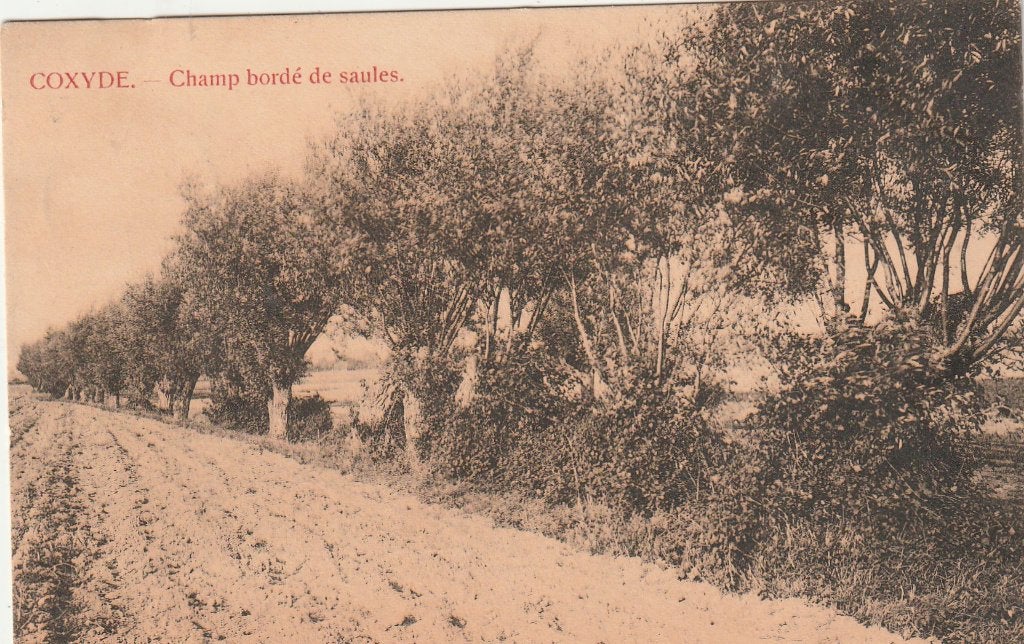 Coxyde de Coxyde, Collections, Envoi