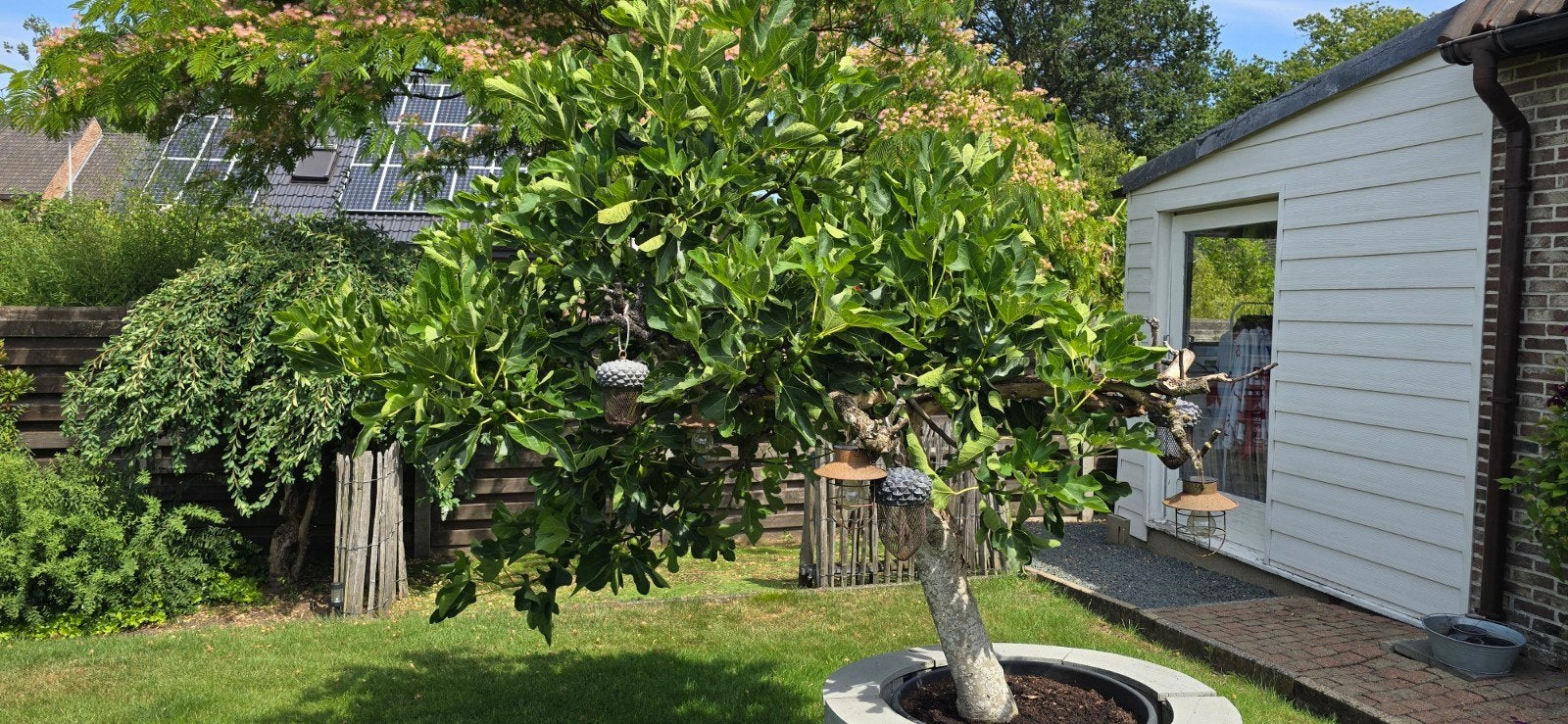 Te koop, Ophalen