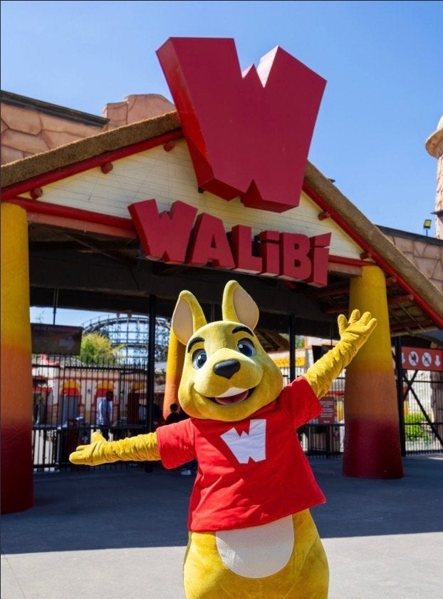 Walibi Belgium-ticket niet gedateerd, Tickets en Kaartjes, Drie personen of meer, Ticket of Toegangskaart