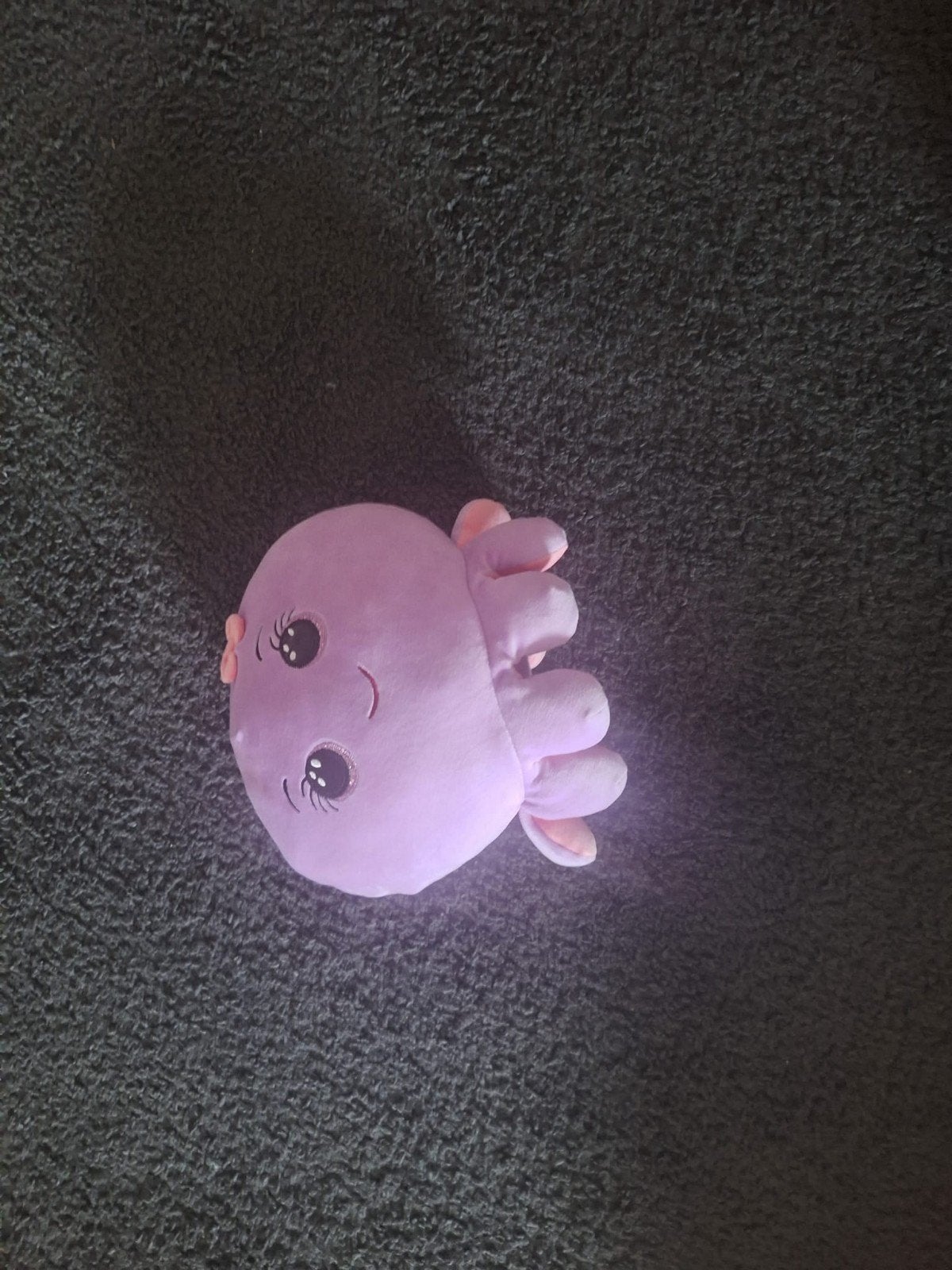 paarse octopus, Ophalen