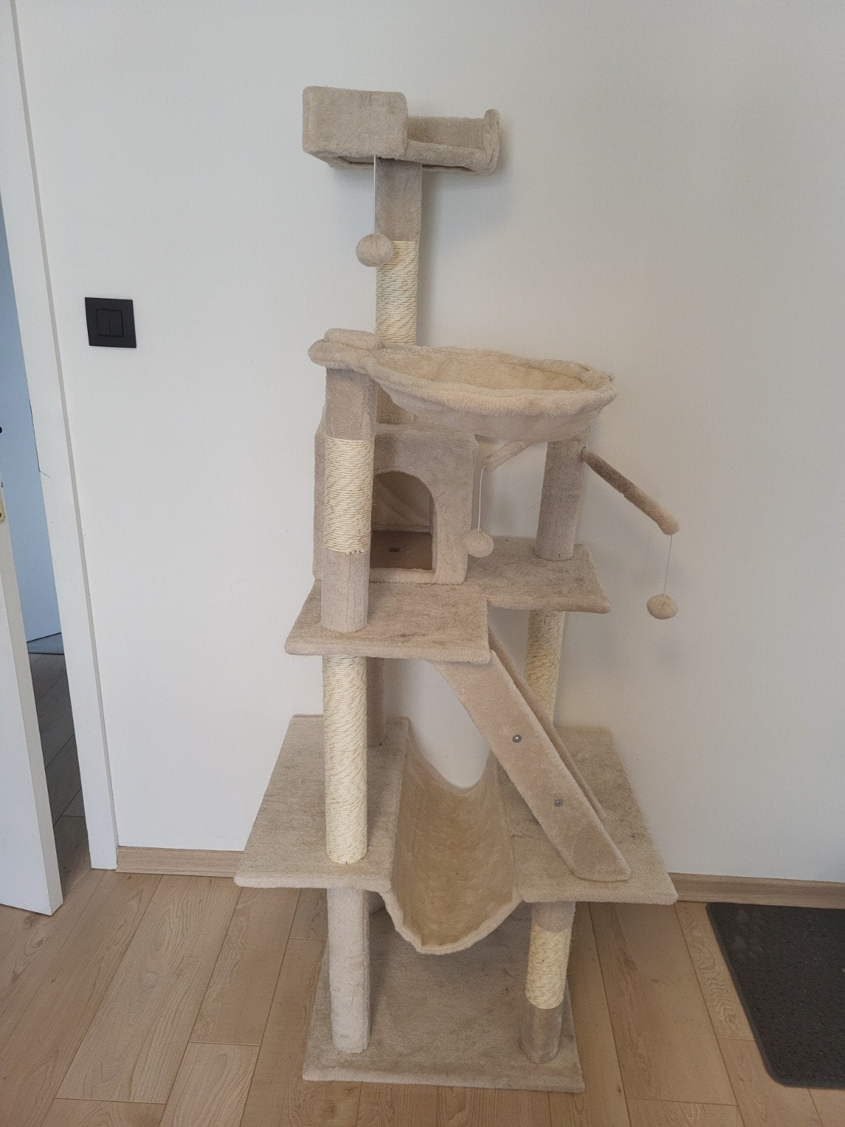 Krabpaal kittens, Dieren en Toebehoren, Ophalen