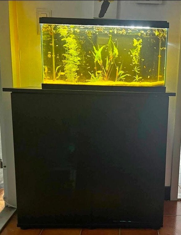 Aquarium 60 Litres avec meuble, Animaux & Accessoires, Enlèvement, Chauffage
