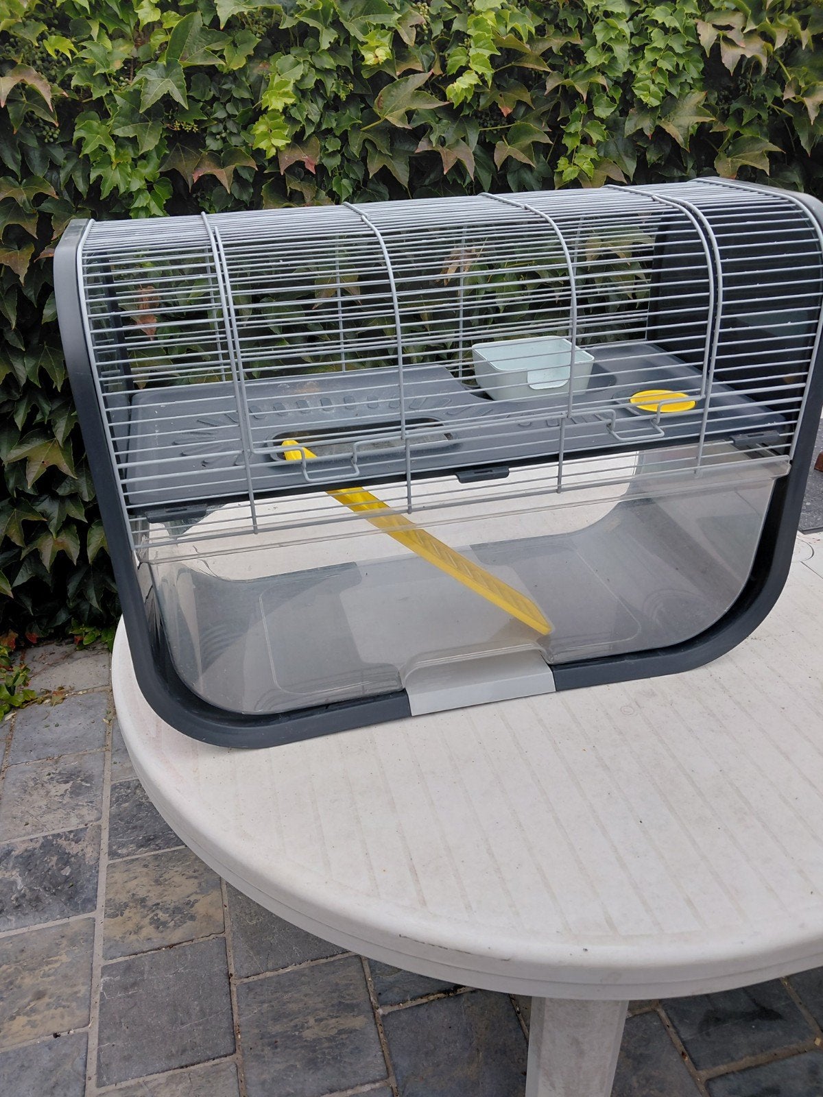 hamster kooi ., Enlèvement, Cage, Hamster