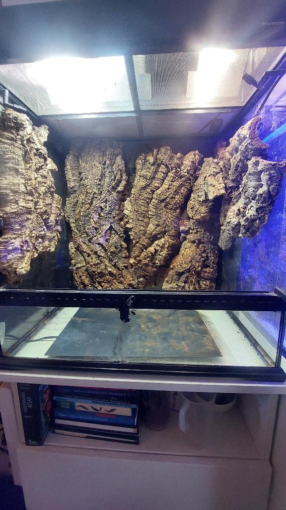 Terrarium H60xD45xB60 met lampen, bevochtiger, heat mat ea., Animaux & Accessoires, Reptiles & Amphibiens | Accessoires, Enlèvement