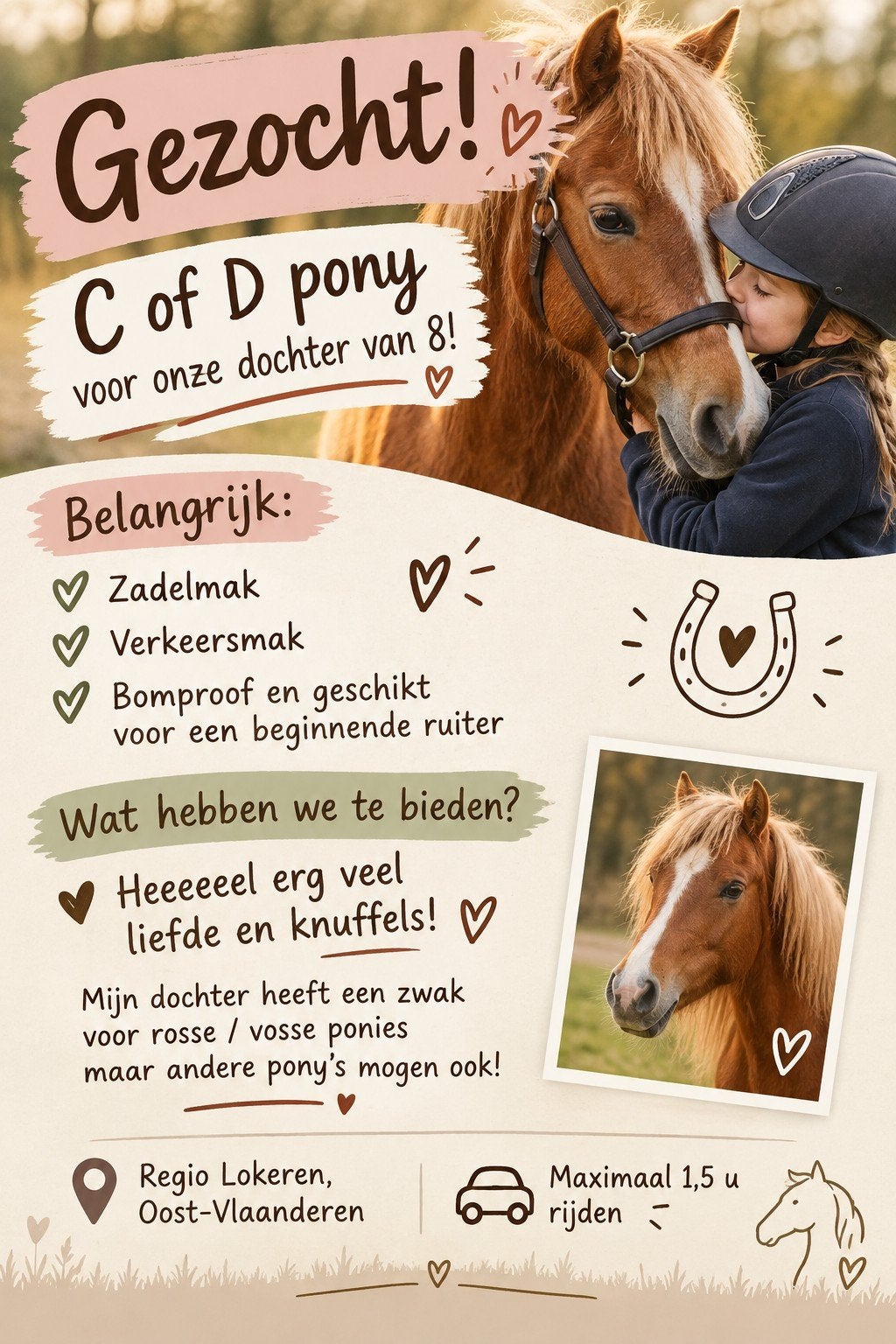 C of D pony gezocht, Dieren en Toebehoren, Zadelmak, C pony (1.27m tot 1.37m), Recreatiepony, Gechipt