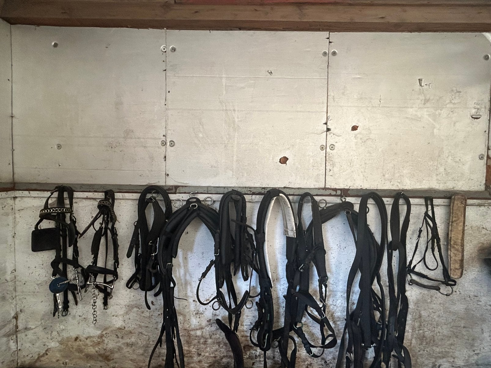 Verschillende hoofdstellen + teugels voor koets, Dieren en Toebehoren, Paarden en Pony's | Hoofdstellen en Tuigage, Ophalen, Teugels