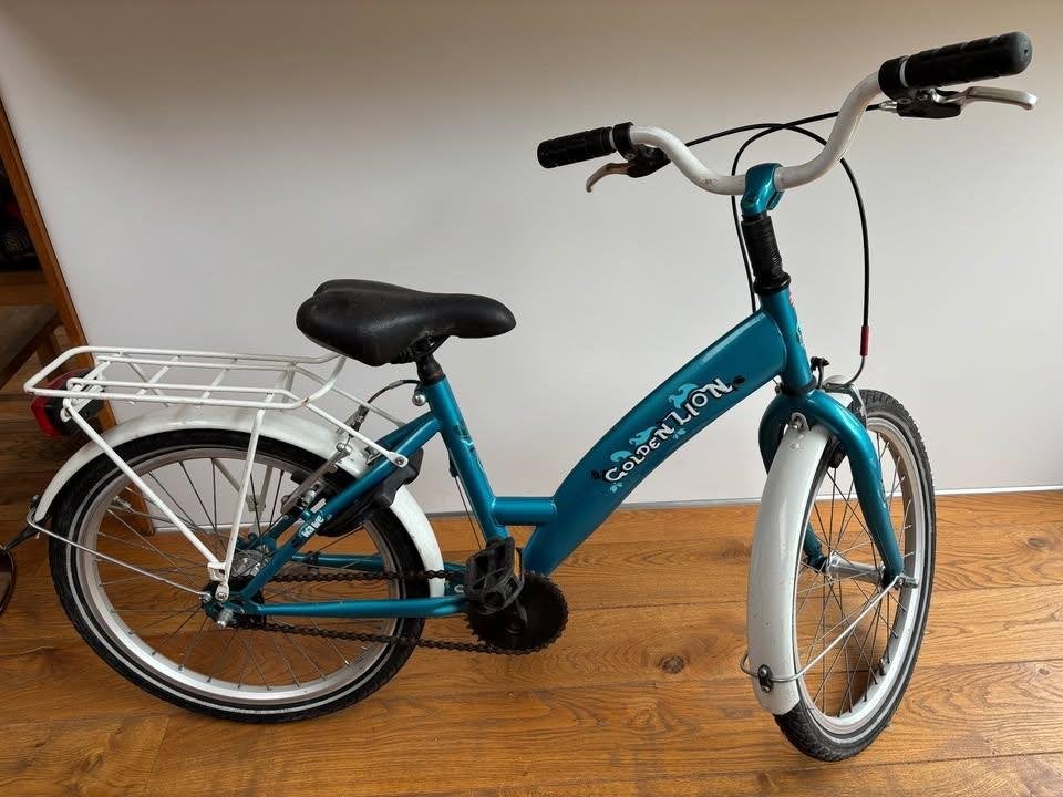 Golden Lion Wave 3 kinderfiets - turkooisblauw, Ophalen, Gebruikt, Velgrem, 20 inch of meer