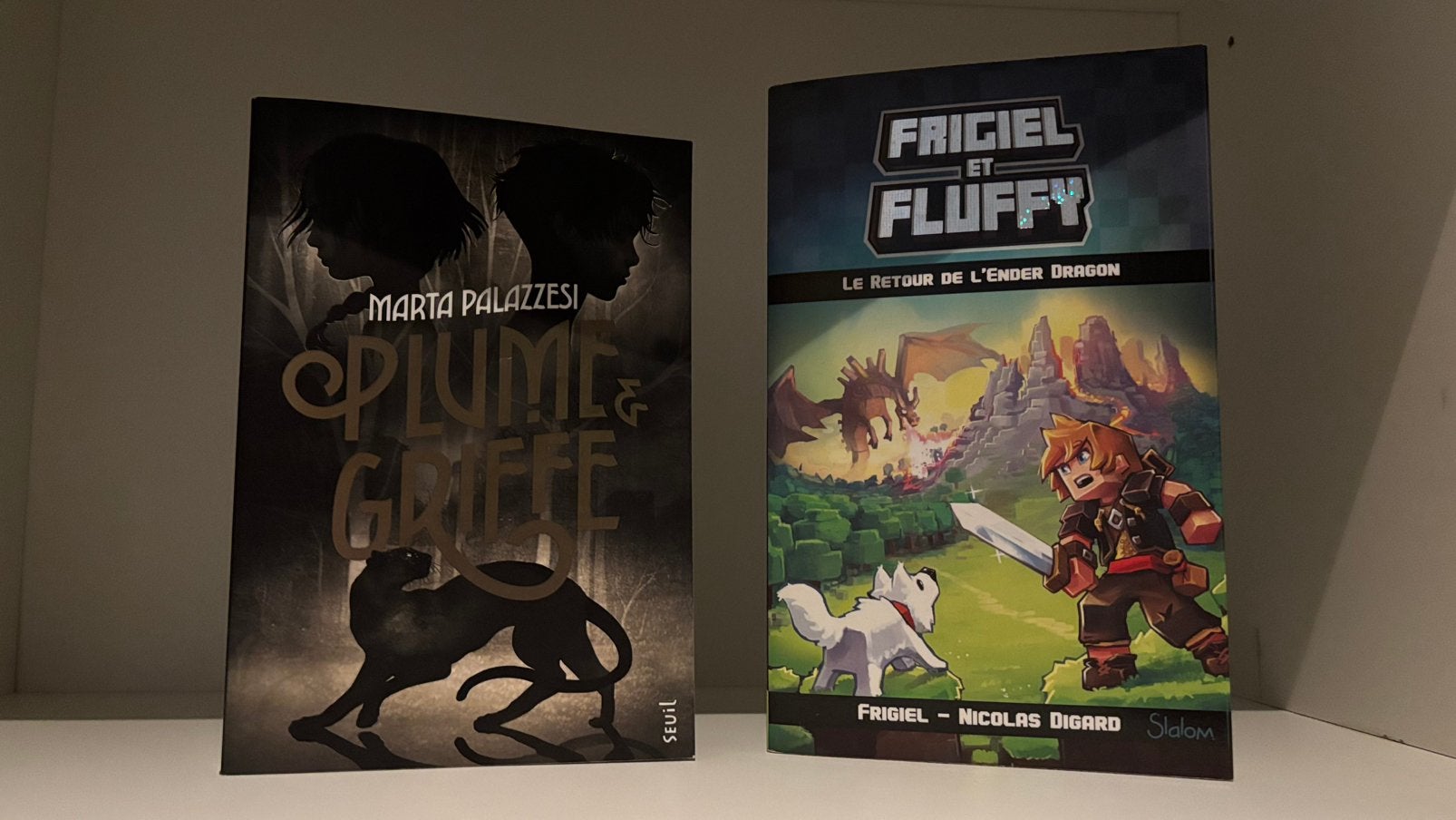 Lot de 2 romans (Plume & Griffe + Frigiel & Fluffy), Livres, Romans, Enlèvement, Utilisé