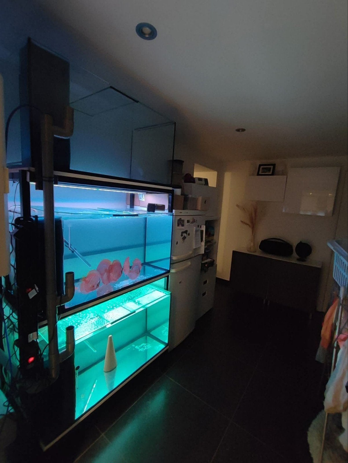 rack aquariums full équipé, Animaux & Accessoires, Enlèvement, Pompe, Eheim