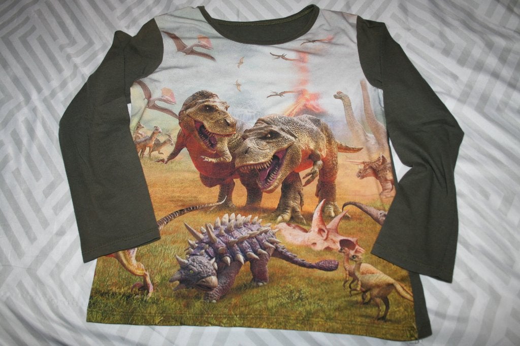 longsleeve dino's maat 140, Ophalen of Verzenden, Gebruikt, Jongen, Shirt of Longsleeve