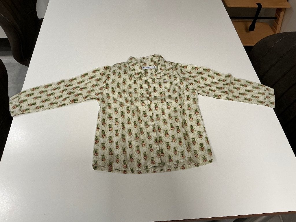 Hemd met lange mouwen Filou en Friends maat 104, Kinderen en Baby's, Gebruikt, Overhemd of Blouse, Ophalen of Verzenden, Jongen