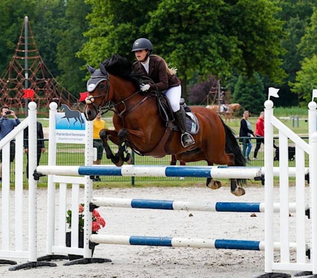 Halve stal/ verzorg / lease D pony in Maaseik, Dieren en Toebehoren, ZZ, Springpaard, Minder dan 160 cm, Ruin