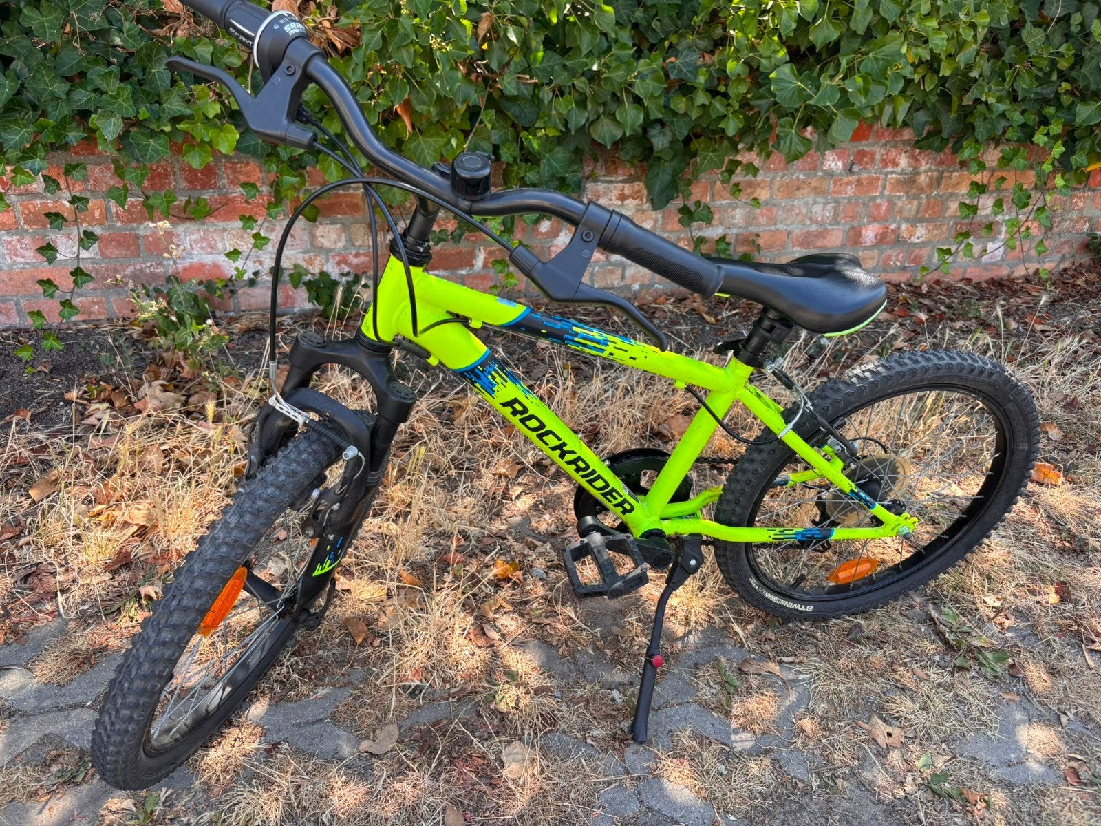 rockrider kind 6-9 jaar 20 inch, Ophalen