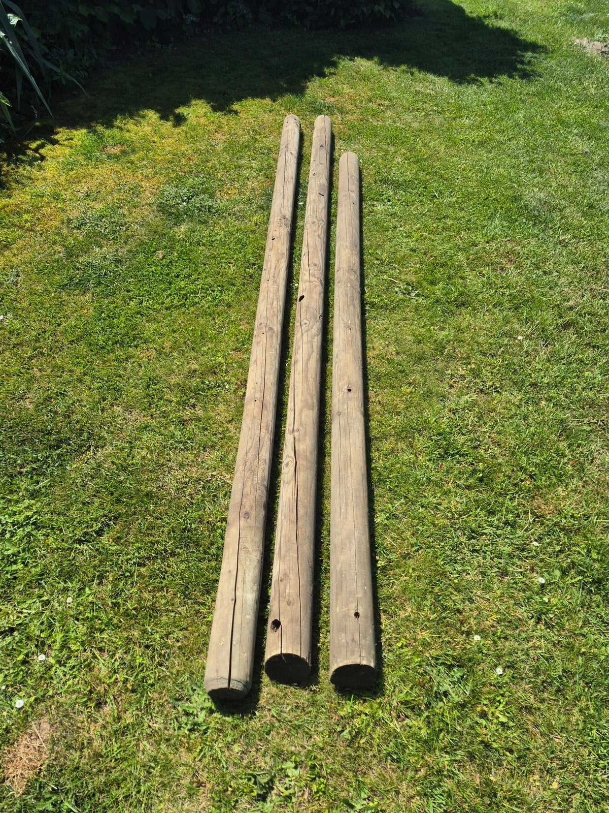 Poteaux de jardin en bois diamètre 10 cm, Enlèvement, Utilisé, 250 cm ou plus, Poteaux