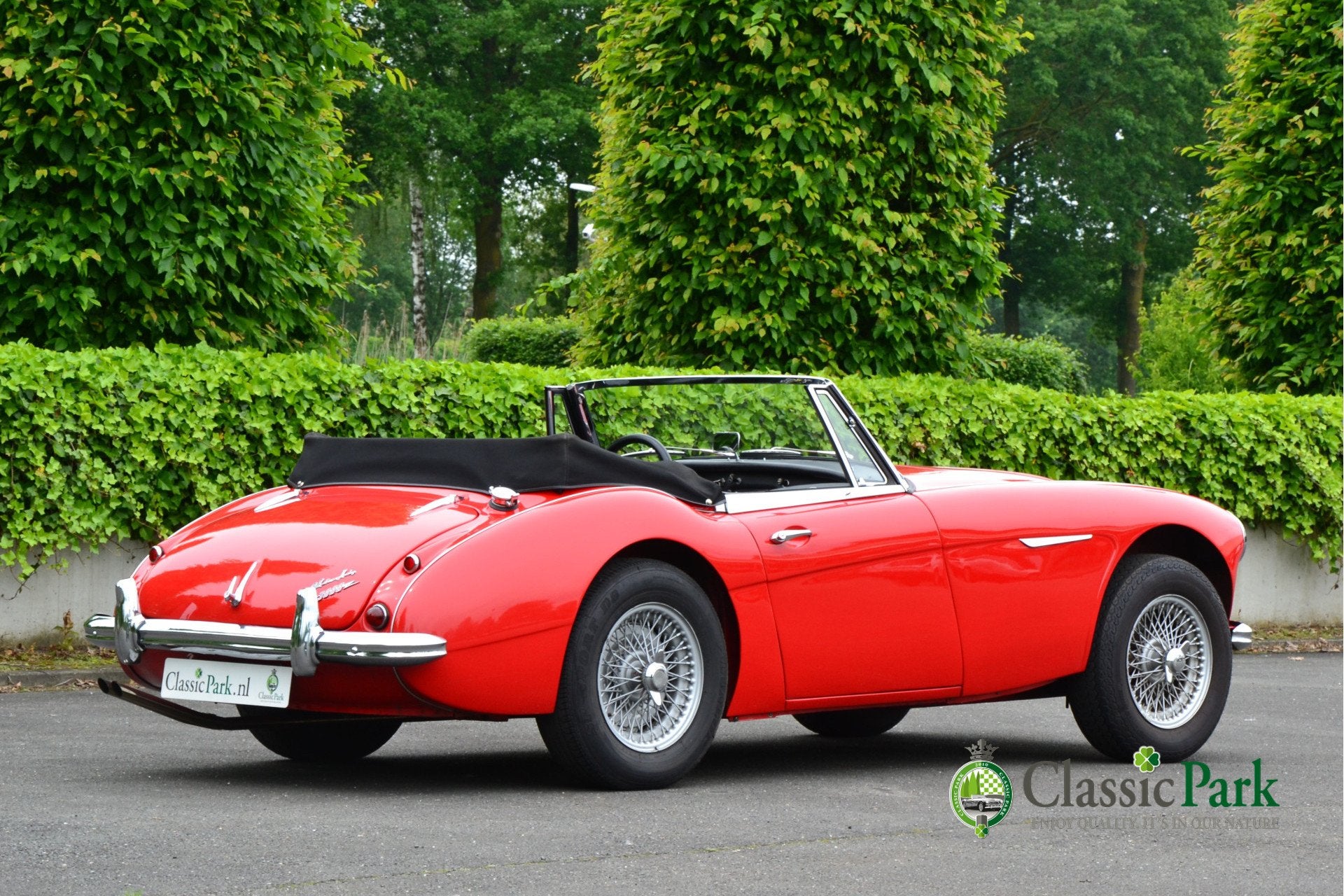 Austin Healey 3000 MK II A (bj 1962), foto 5