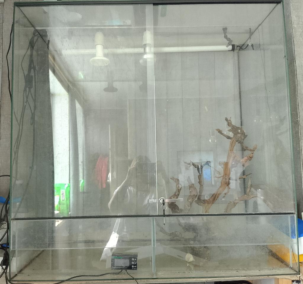 A vendre terrarium complet, Enlèvement, Utilisé, Terrarium ou Paludarium