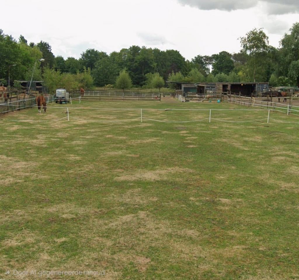 Lease koop paard gevraagd