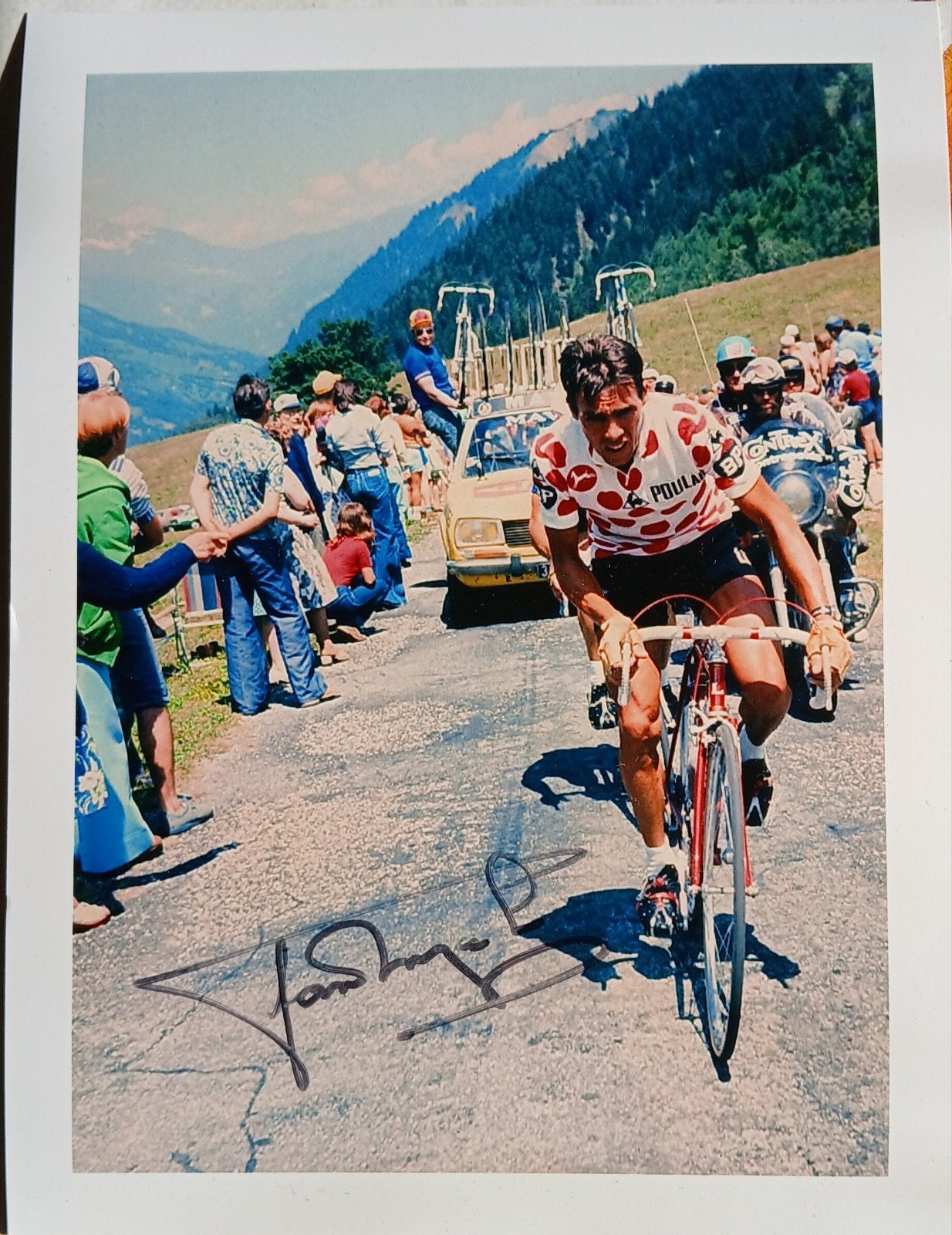 Gesigneerde foto van Lucien van Impe., Verzenden, Nieuw