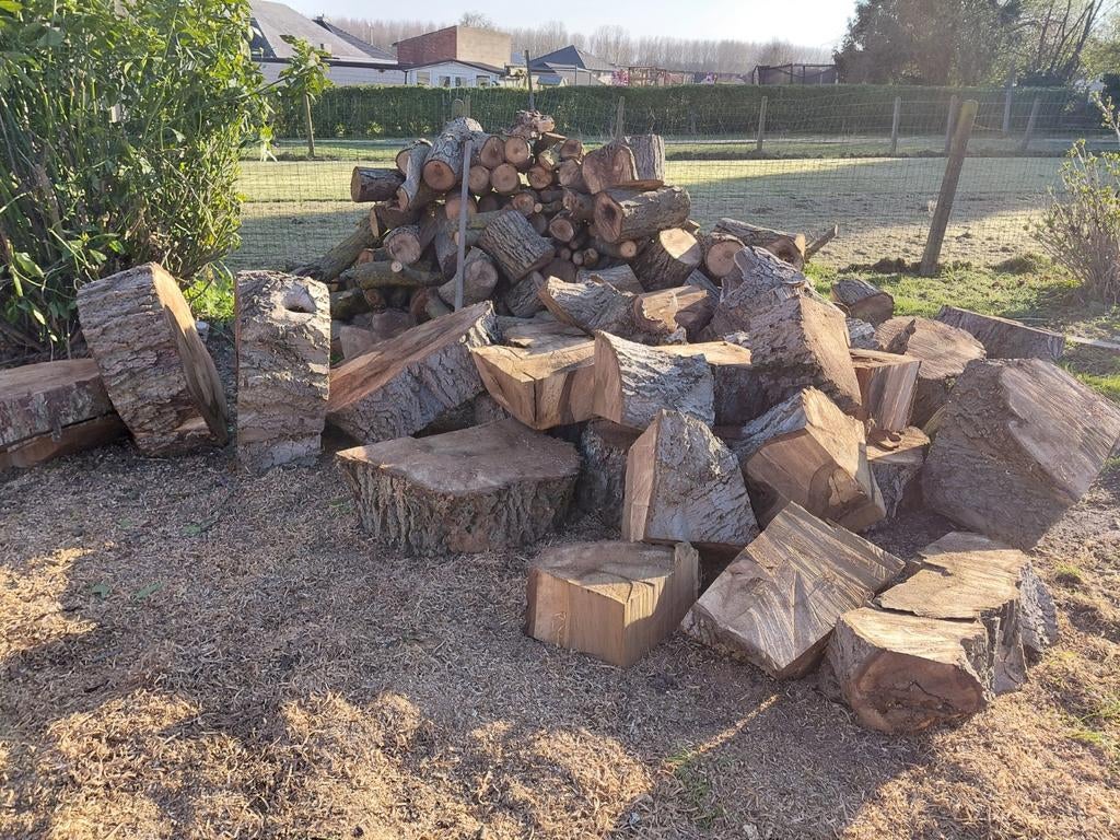 Brandhout notenboom, Tuin en Terras, Brandhout, 3 tot 6 m³, Ophalen, Overige houtsoorten, Blokken