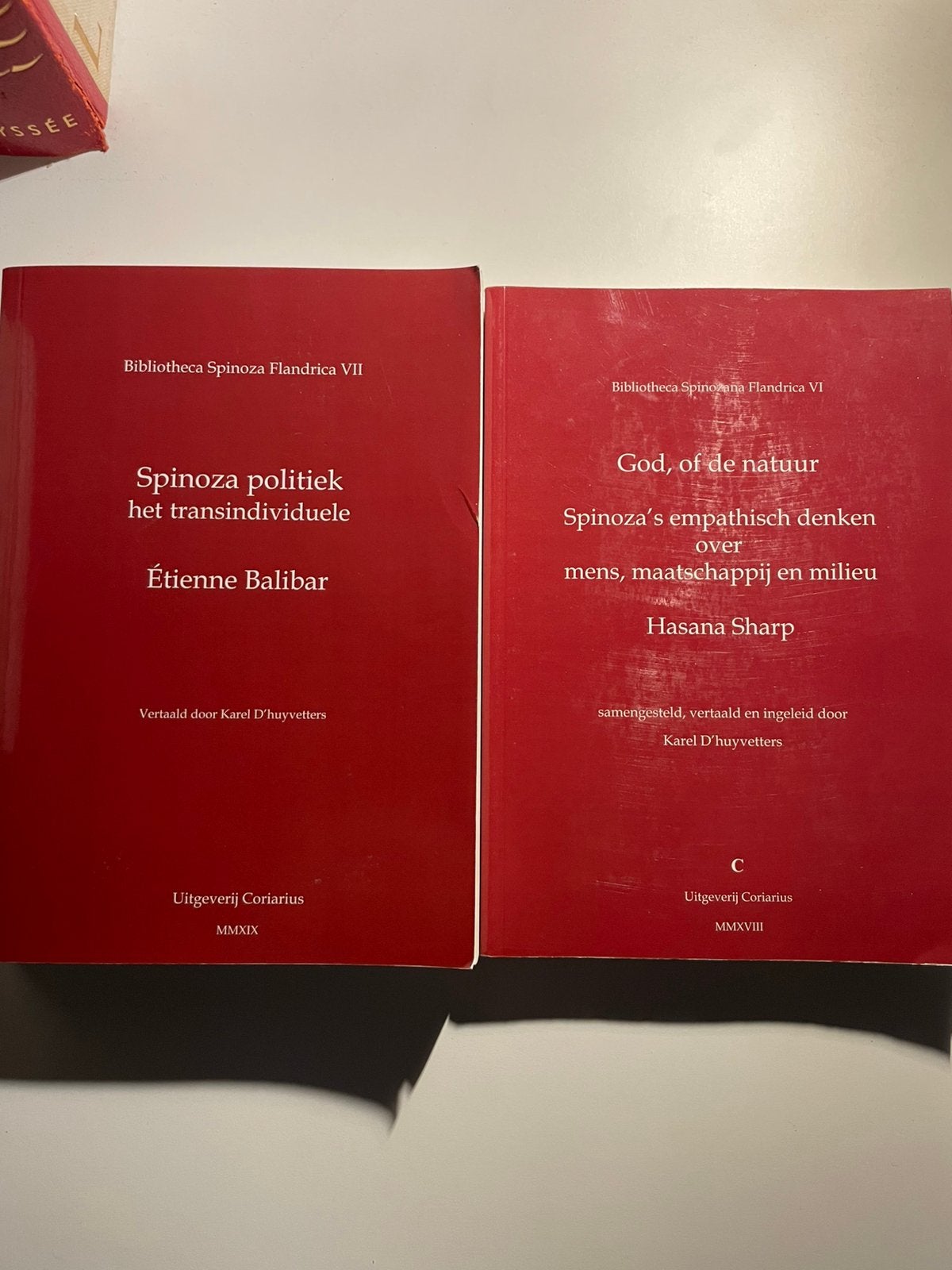 Spinoza Politiek - Spinoza’s Empatisch Denken, Ophalen of Verzenden
