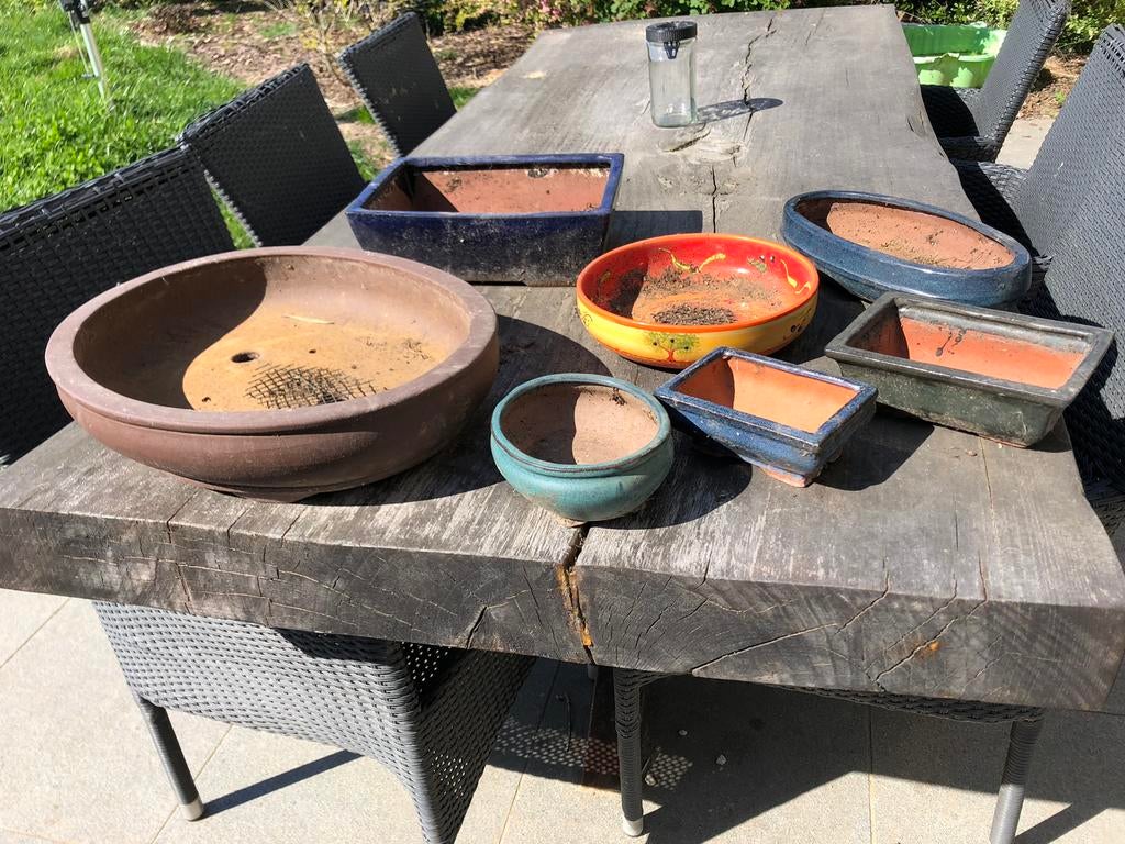 Bonsai potten, Tuin en Terras, Ophalen, Zo goed als nieuw