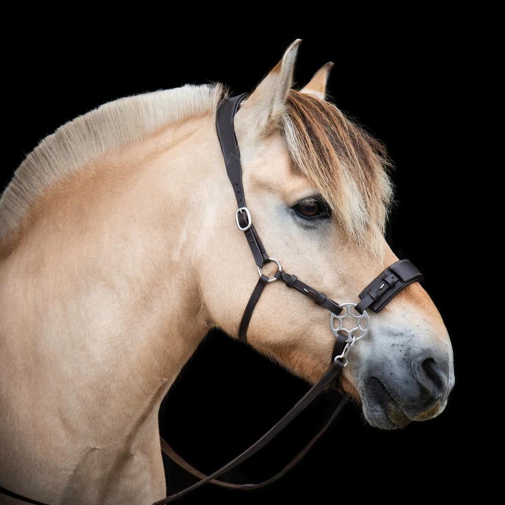 Hackamore bruin hoofdstel, Verzenden, Nieuw