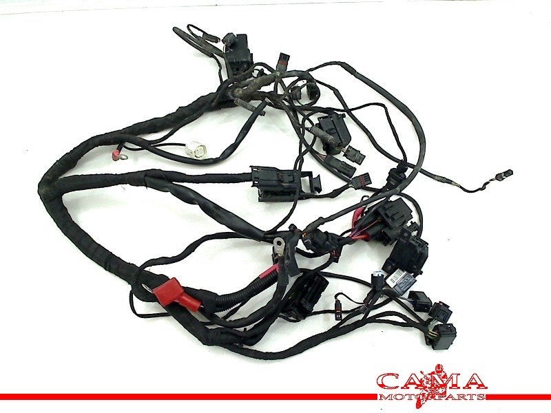 KABELBOOM BMW R nineT 2016-2021 (K23) (01-2016/12-2021), Motoren, Dhr. S. di Majo, Gebruikt, Info@cama-motorparts.nl, P.J. Troelstraweg 8 8
3144 CX  MAASSLUIS, NL