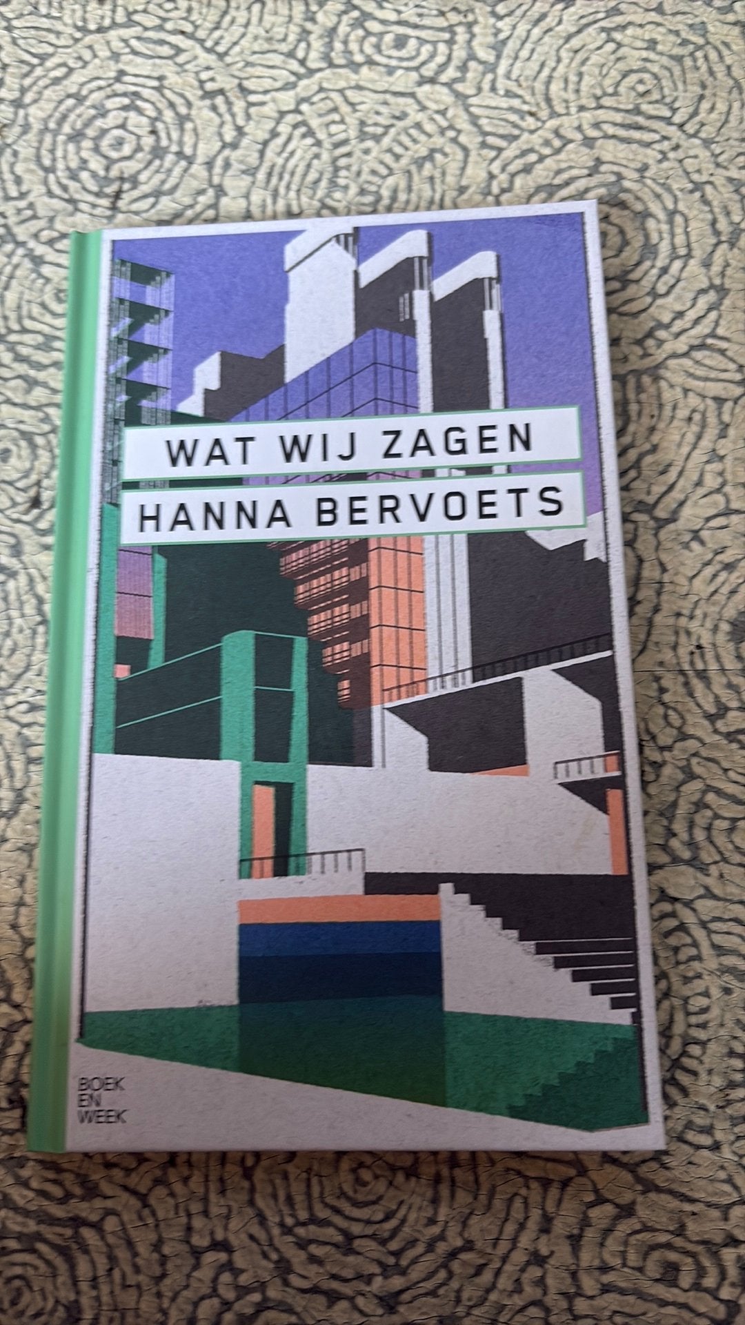 Hanna Bervoets - Wat wij zagen, Enlèvement, Hanna Bervoets