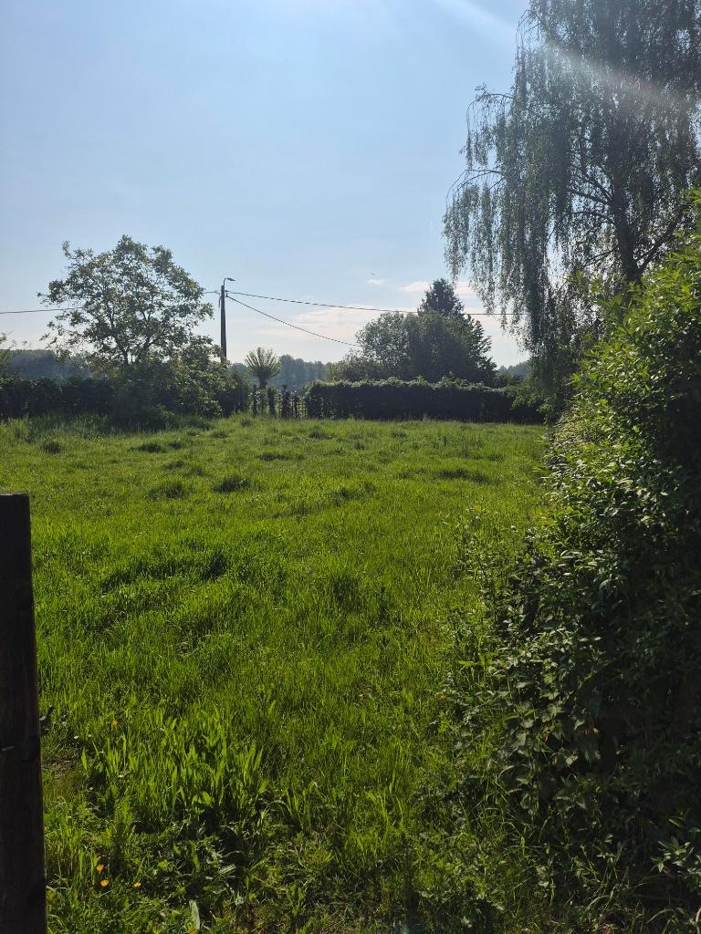 paardenweide te huur, Pâturage, 2 ou 3 chevaux ou poneys