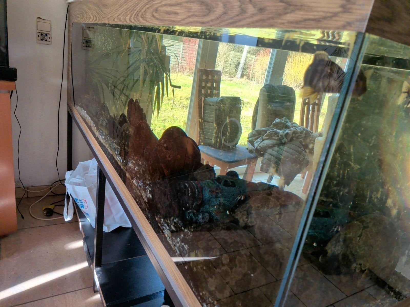 Aquarium 2m 600L, Enlèvement