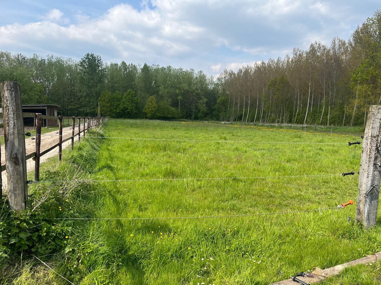 Weide te huur, Dieren en Toebehoren