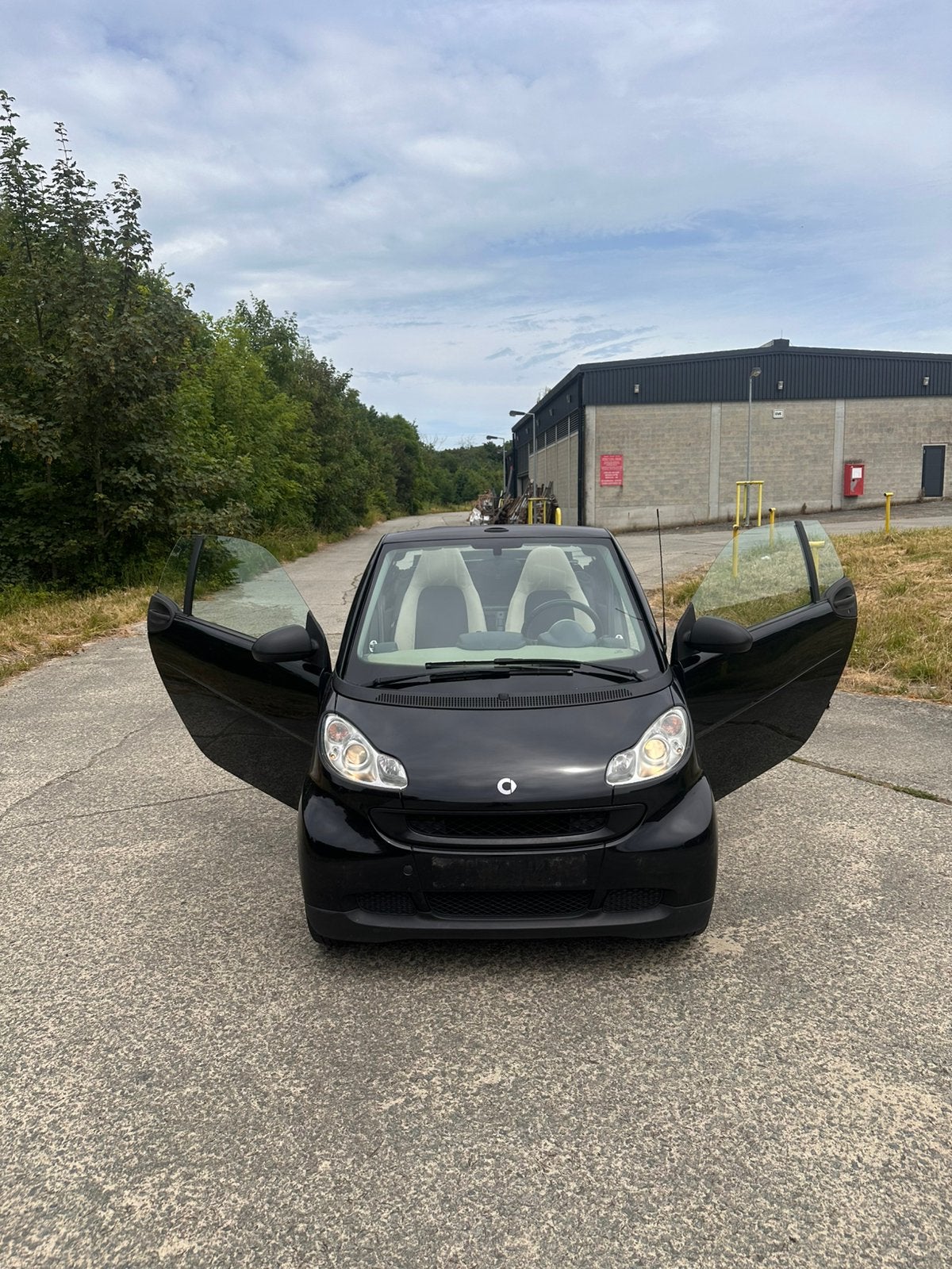 Smart voor twee cabriolet, klaar voor registratie, Auto's, Smart, Particulier, Elektrische ramen, Benzine, Ophalen