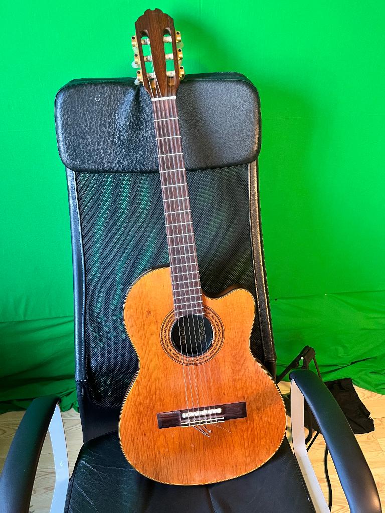 Guitare Gibson, Musique & Instruments, Enlèvement ou Envoi, Utilisé, Autres types
