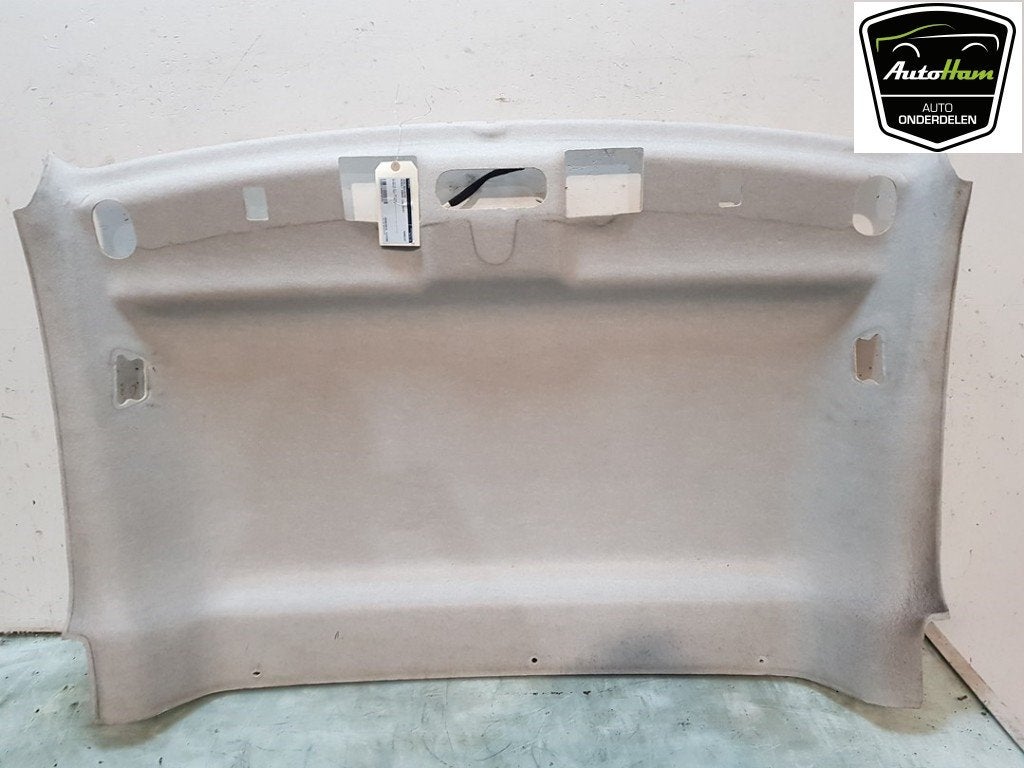 HEMELBEKLEDING Renault Kangoo Express (FW) (01-2008/-), Auto-onderdelen, Gebruikt, Renault