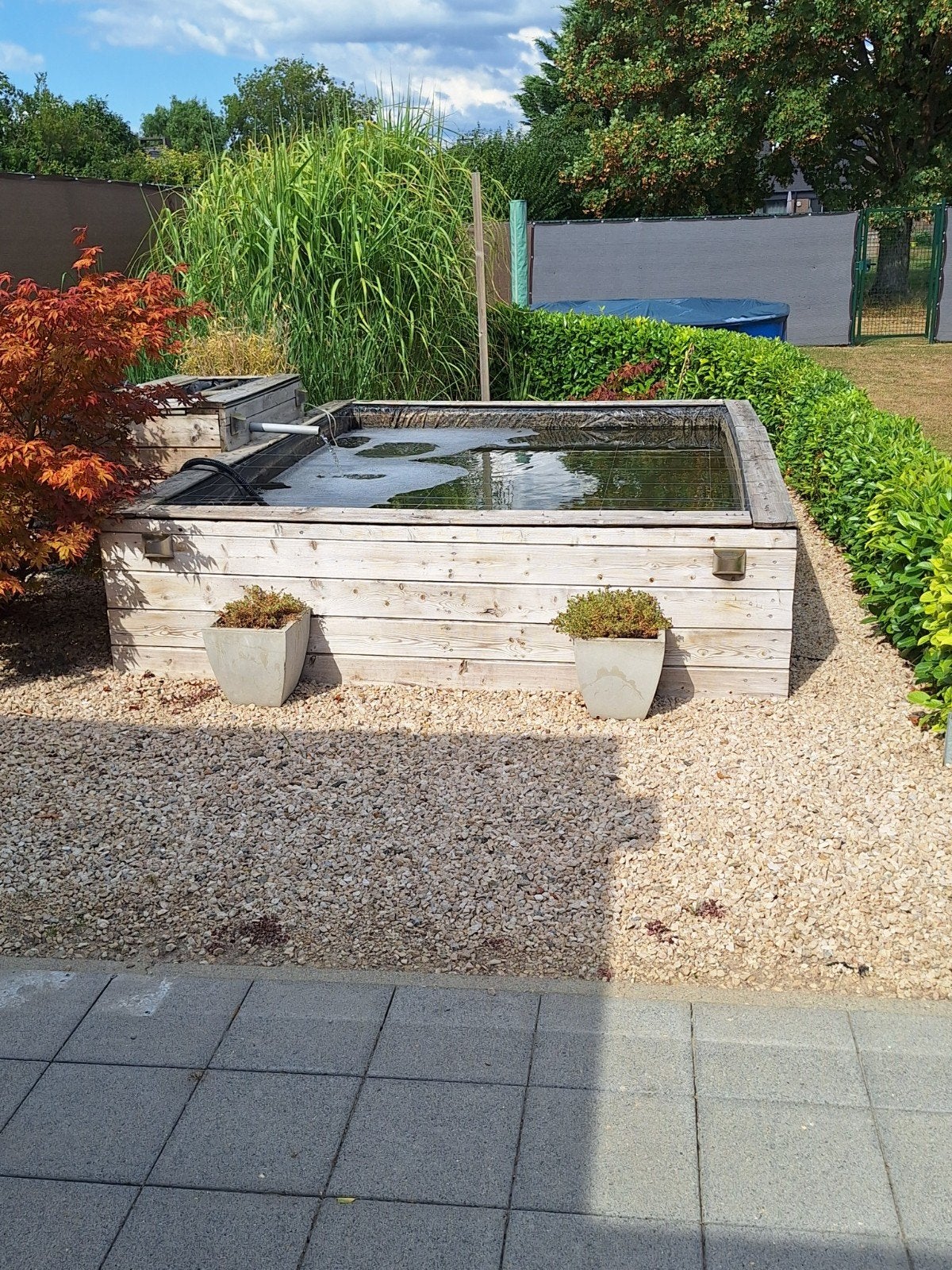 Vijver van houten planken, Enlèvement