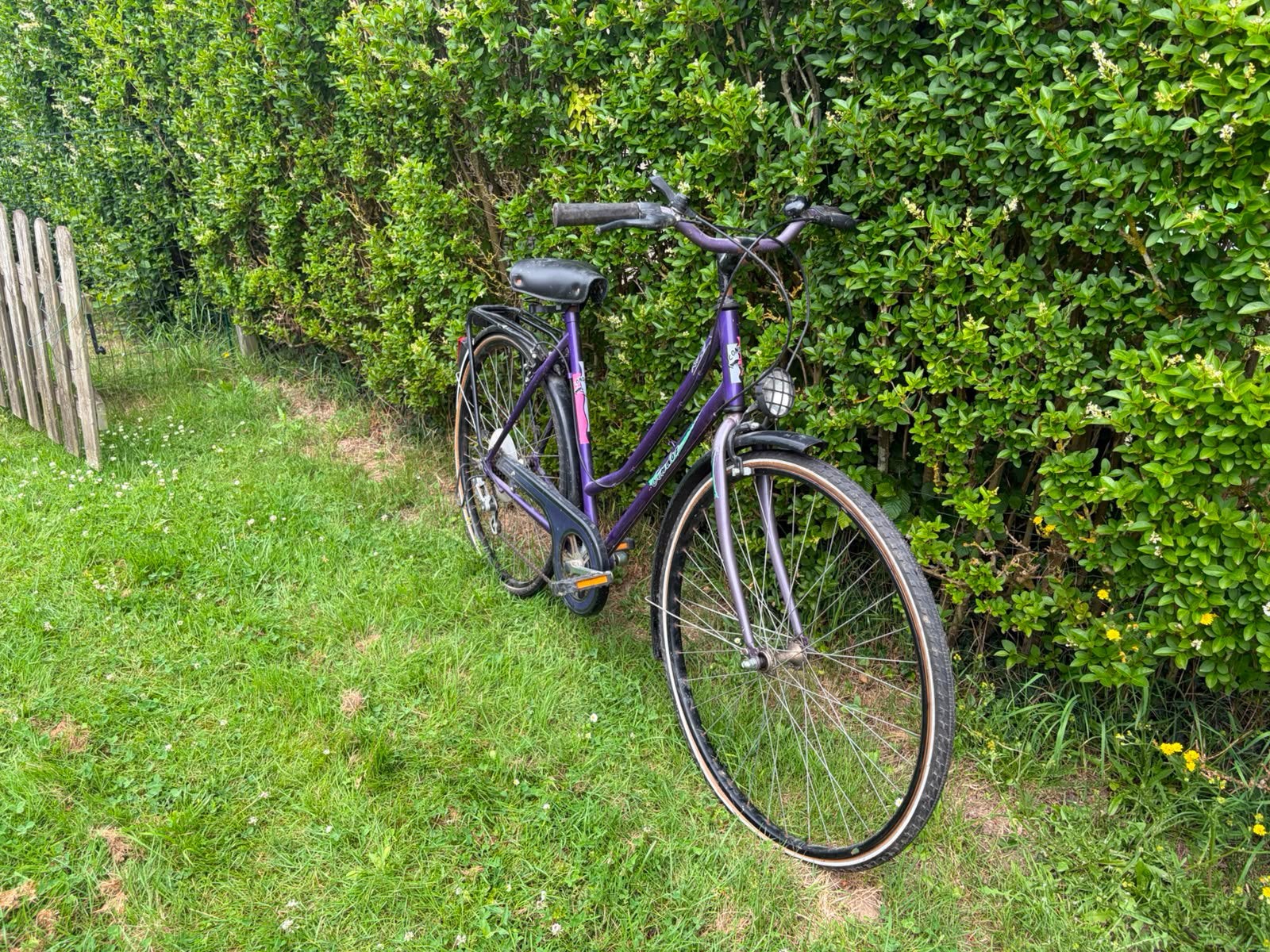 Functionele Condor-fiets, Fietsen en Brommers, Fietsen | Dames | Moederfietsen, Gebruikt, Overige merken, Minder dan 47 cm, Velgrem