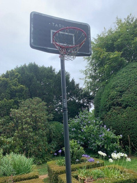 ring basketbal, Ophalen, Gebruikt, Ring, Bord of Paal