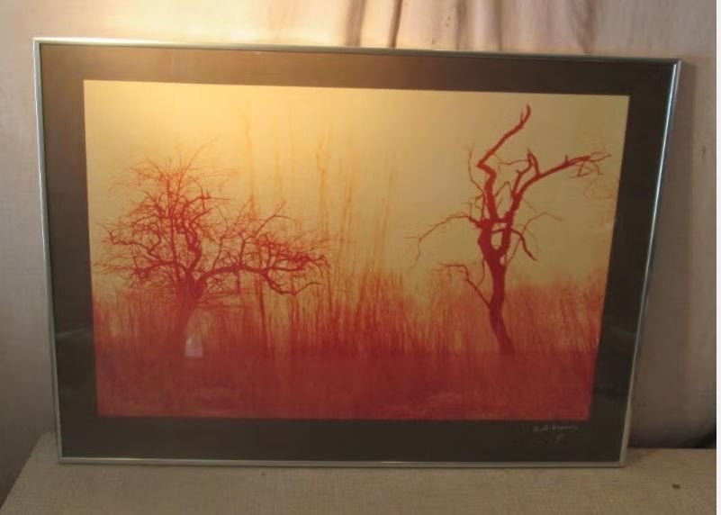 Belle photo d'automne - Rudi Vergauwen - 72x52, Enlèvement ou Envoi, Comme neuf, Nature, Photo