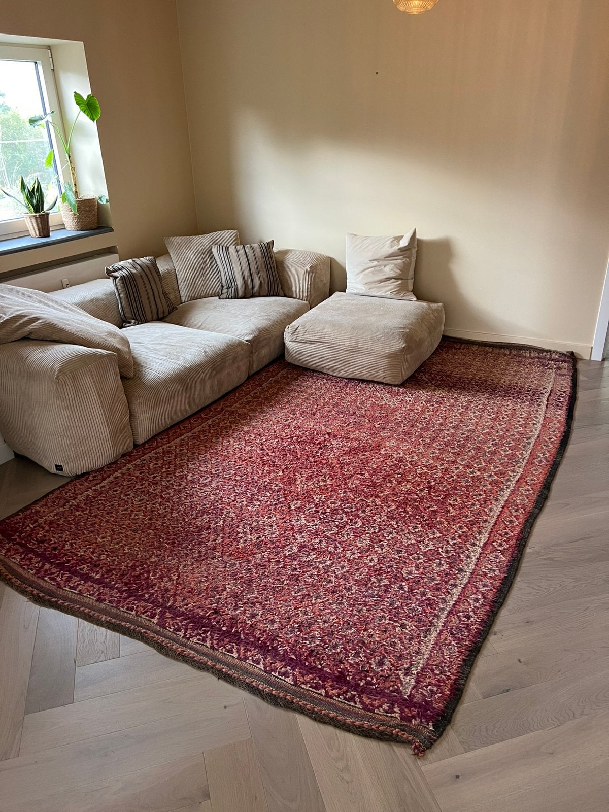 Marokkaans tapijt, 200 cm ou plus, 150 à 200 cm, Enlèvement, Rectangulaire