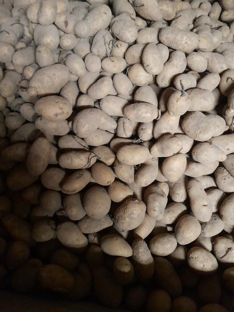 Voeder aardappelen, Zakelijke goederen, Ophalen