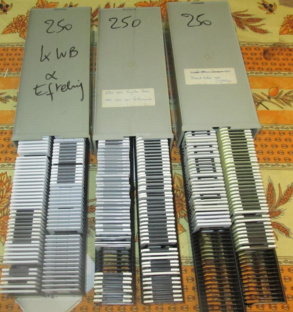 250 Oude Dia's - Uitstappen - Efteling - huifkartocht, Ophalen of Verzenden, 1980 tot heden, Zo goed als nieuw, Foto