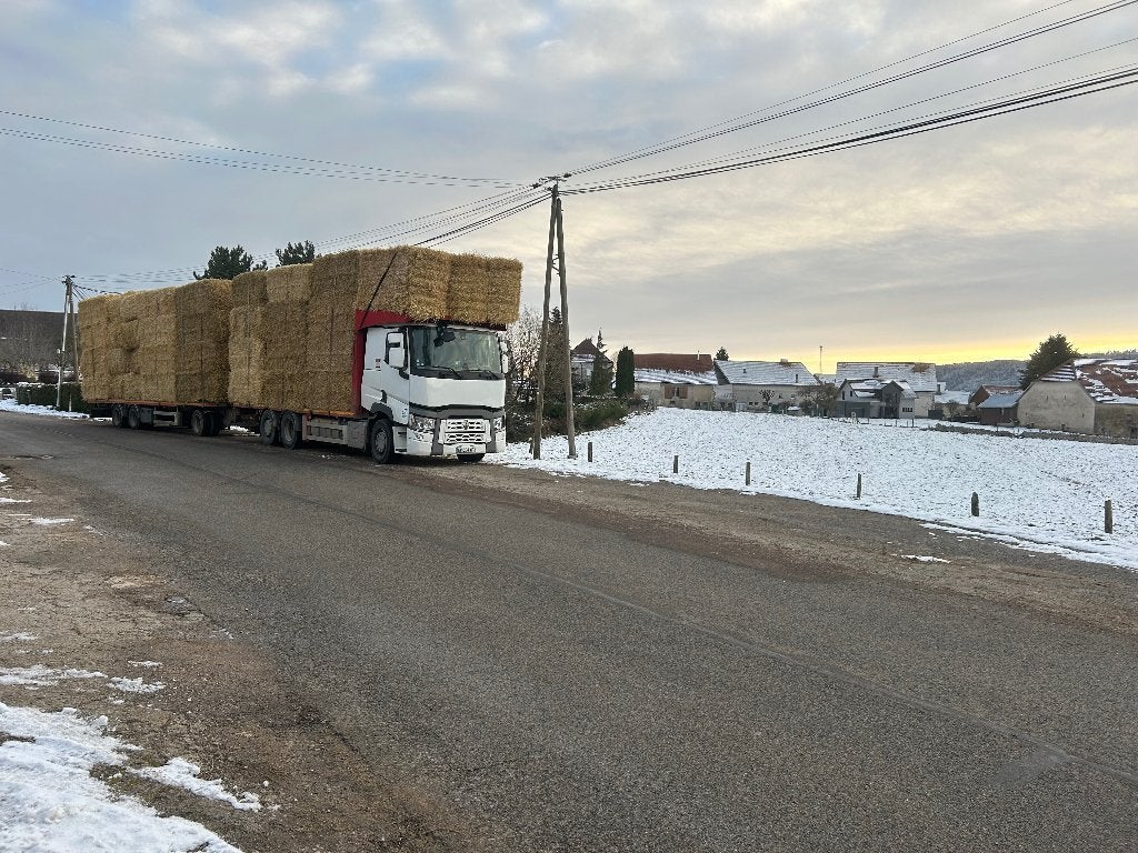 Foin paille, Animaux & Accessoires, Enlèvement ou Envoi