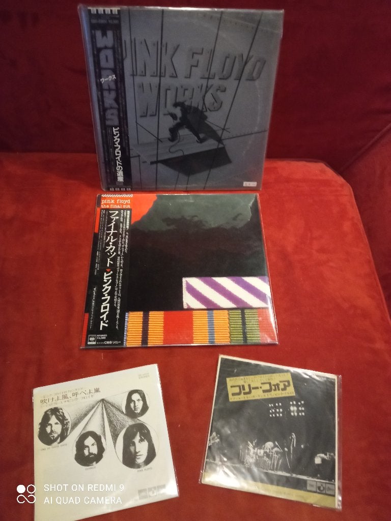 SIN89/Pink Floyd/Rarities/Verzamelaars, Cd's en Dvd's, Overige formaten, Ophalen of Verzenden, Zo goed als nieuw, Boxset