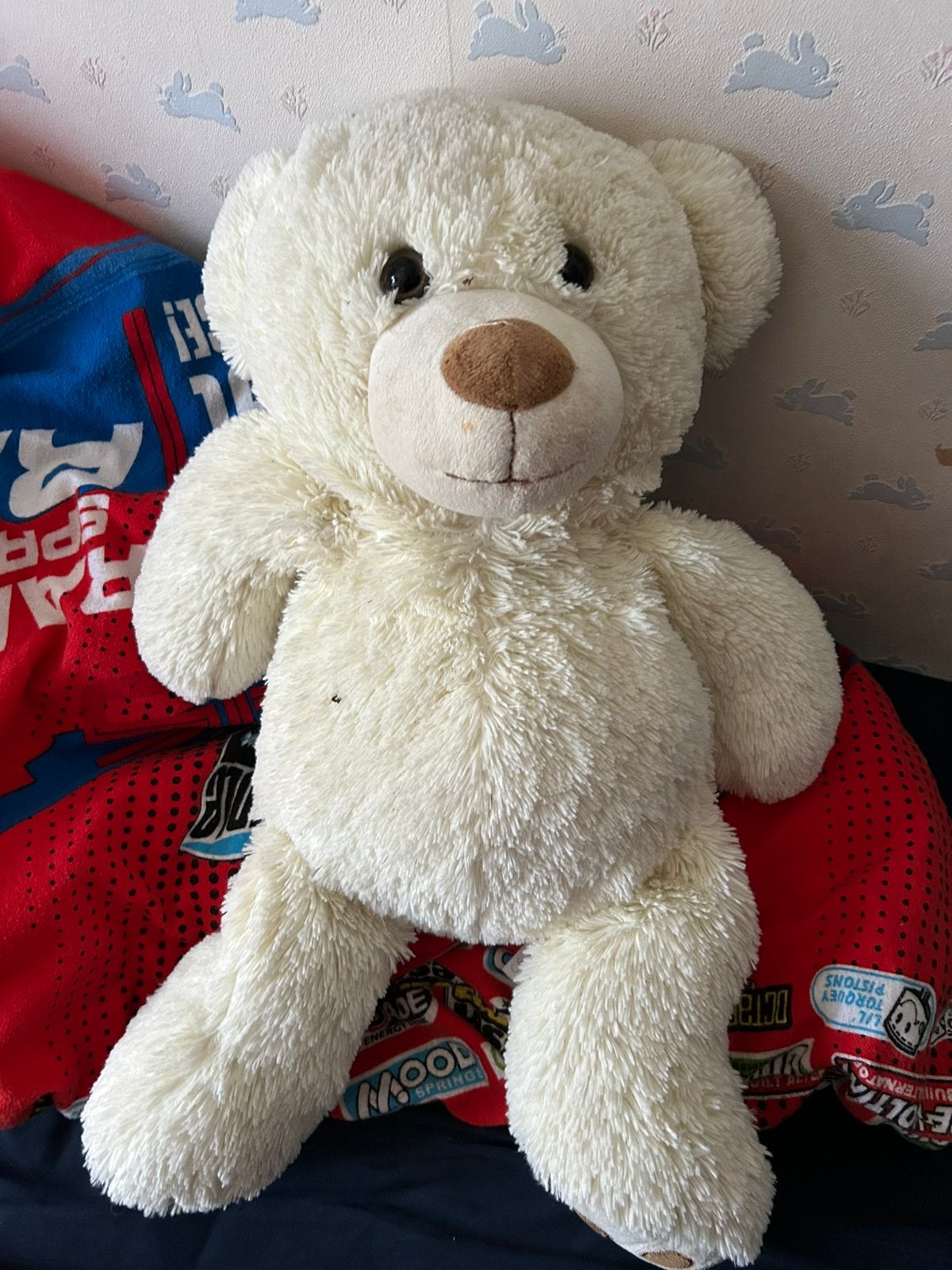 Grote knuffel beer, Ophalen, Gebruikt, Beer